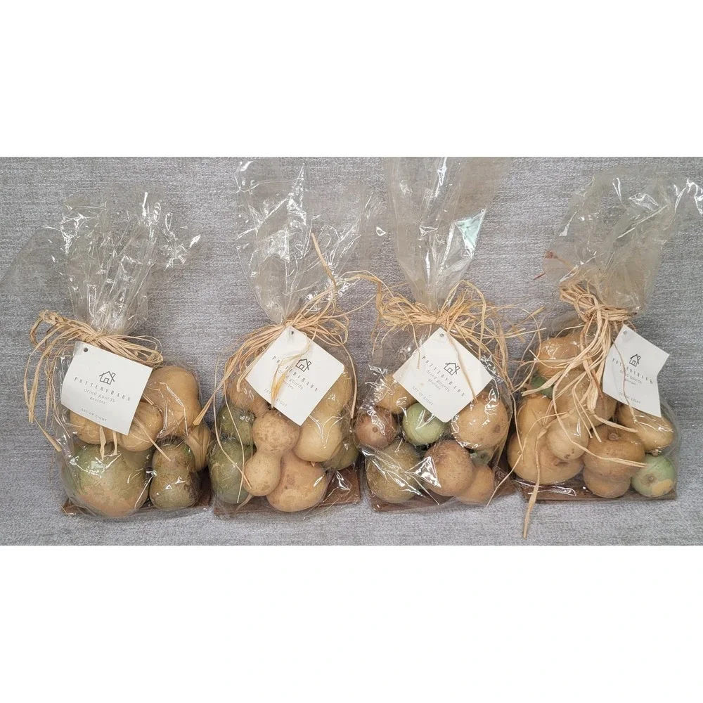 Pottery Barn Real Dried Gourds Made USA Grown in California Fall Bowl Filler NIP